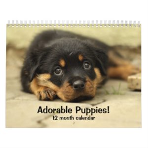 2019 Adorable Puppies Twelve Month Dog Calendar