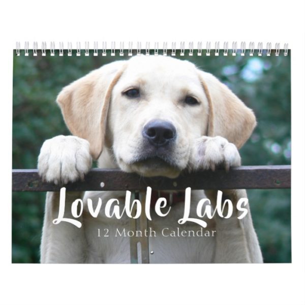 2019 Lovable Labrador Retriever Dog Calendar