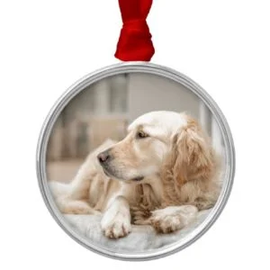 34137641_xxl metal ornament