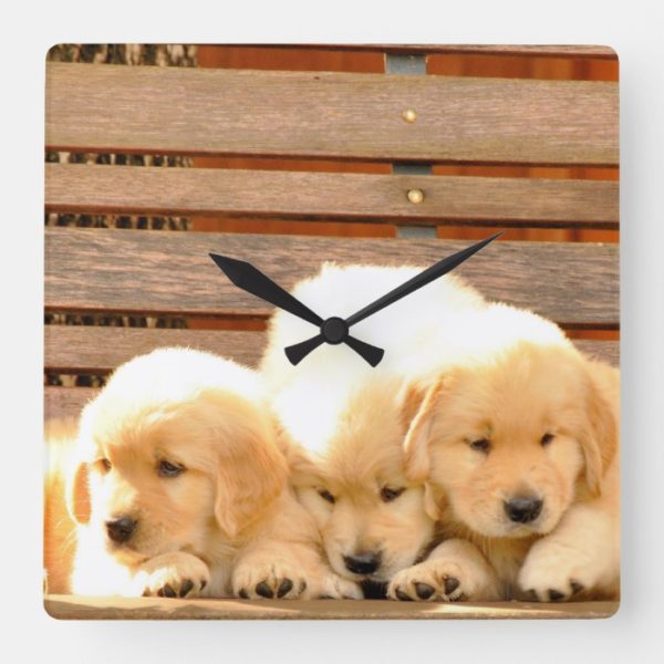 3 Puppies Clock