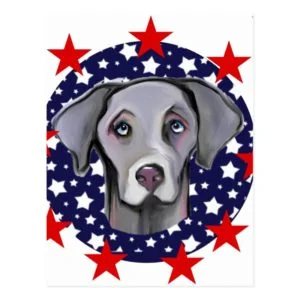 4TH OF JULY WEIMARANER POSTCARD