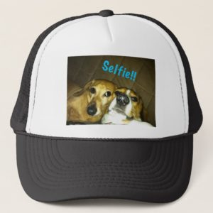 A dachshund and a beagle taking a selfie trucker hat