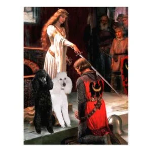 Accolade - Poodle (TWO Standard) Postcard