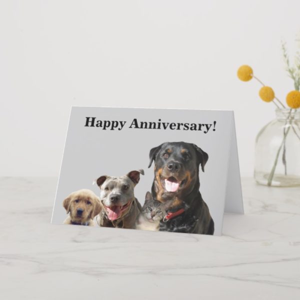 Adorable Pets Anniversary Card