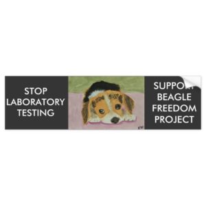 Against Animal Testing Bumpersticker Bumper Sticker