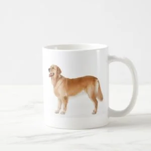 Alert Golden Retriever Coffee Mug