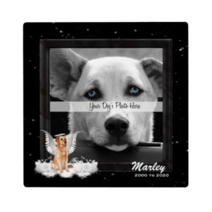Angel Dog Golden Pet Memorial Photo Plaque