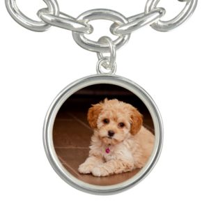 Baby Maltese poodle mix or maltipoo puppy dog Charm Bracelet