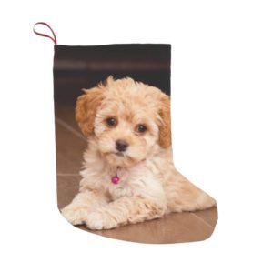Baby Maltese poodle mix or maltipoo puppy dog Small Christmas Stocking