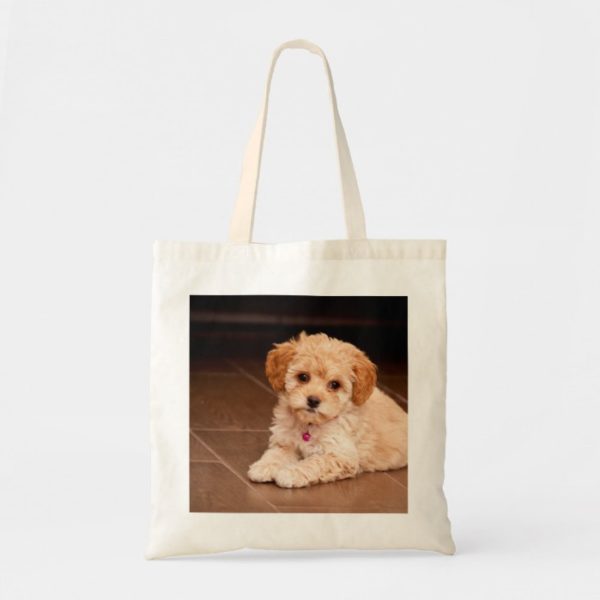 Baby Maltese poodle mix or maltipoo puppy dog Tote Bag