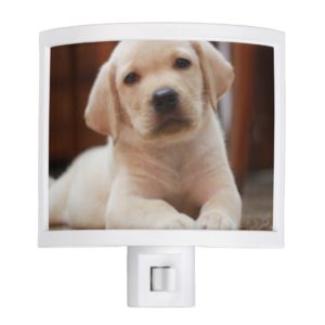 Baby Yellow Labrador Puppy Dog laying on Belly Night Light