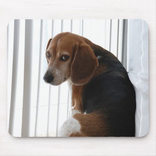 beagle attitude mouse pad