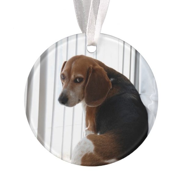 beagle attitude ornament