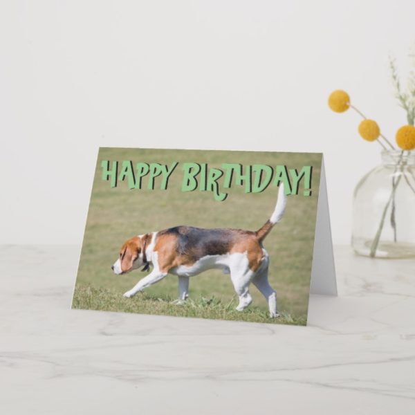 Beagle birthday card