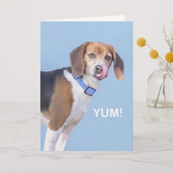 Beagle Birthday Card by focus for a Cause