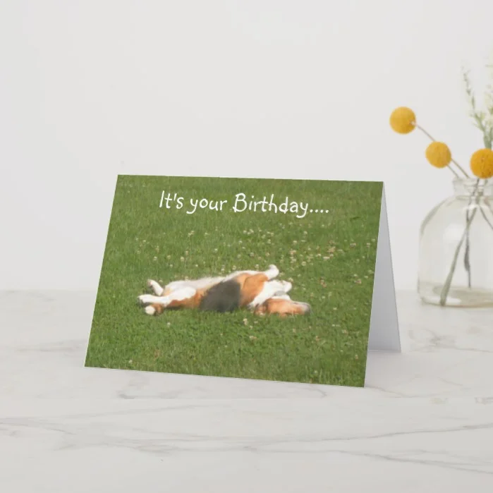 Beagle Birthday Card (Funny)