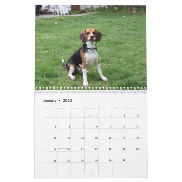 Beagle Calander Calendar