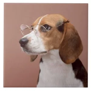 Beagle Ceramic Tile