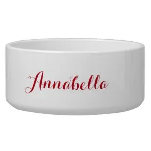 BEAGLE Customizable Name Dogfood Pet Bowl