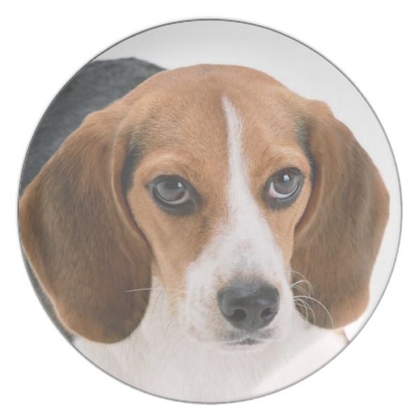 "Beagle" design kitchenware Dinner Plate