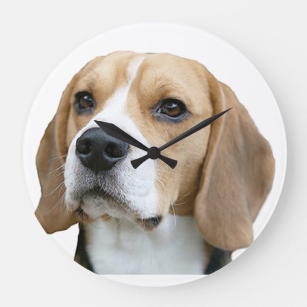 "Beagle" design wall clocks