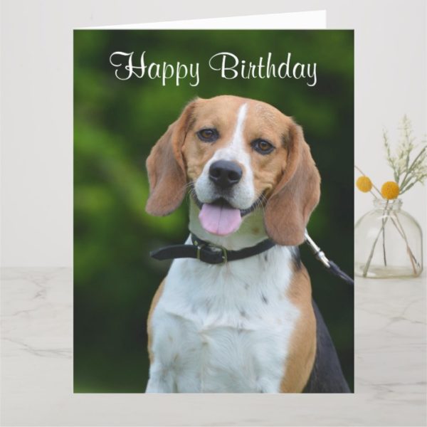 Beagle dog lovers cute custom birthday card