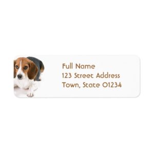 Beagle Dog Return Address Mailing Label