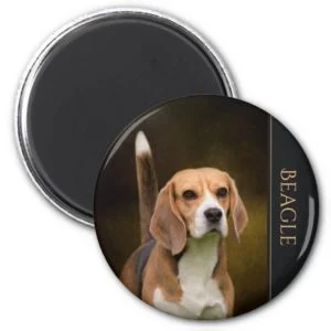 Beagle Fridge Magnet