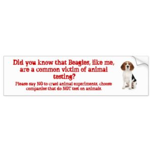 Beagle Like me/animal testing Bumper Sticker
