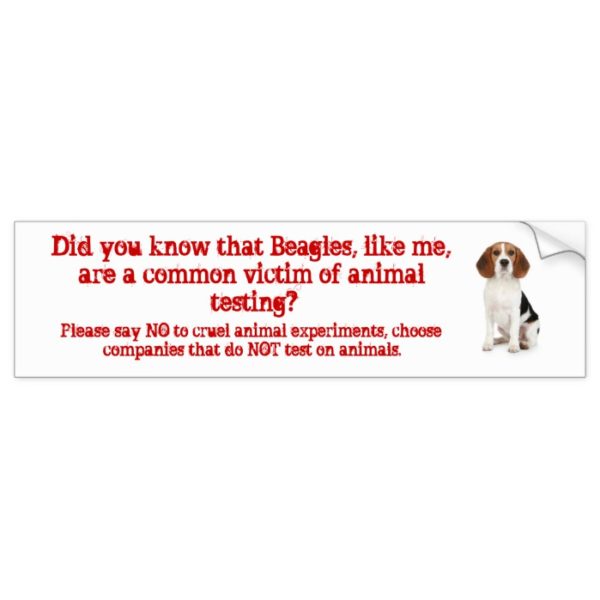 Beagle Like me/animal testing Bumper Sticker
