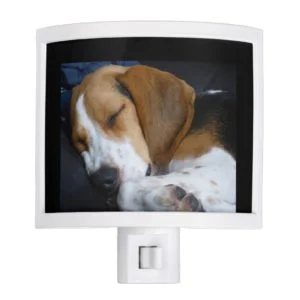 Beagle Night Light