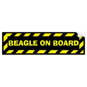 Beagle on board yellow caution sticker