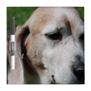 beagle portrait dry erase board