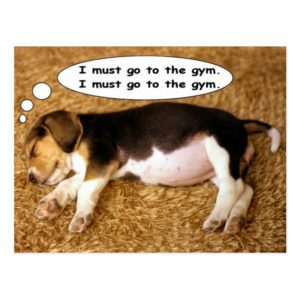Beagle Pup Dreaming of Getting Fit Postcard