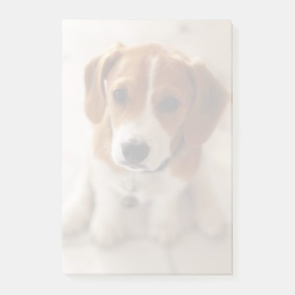 Beagle Puppy 2 Post-it Notes