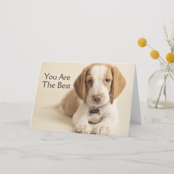 Beagle Puppy Card