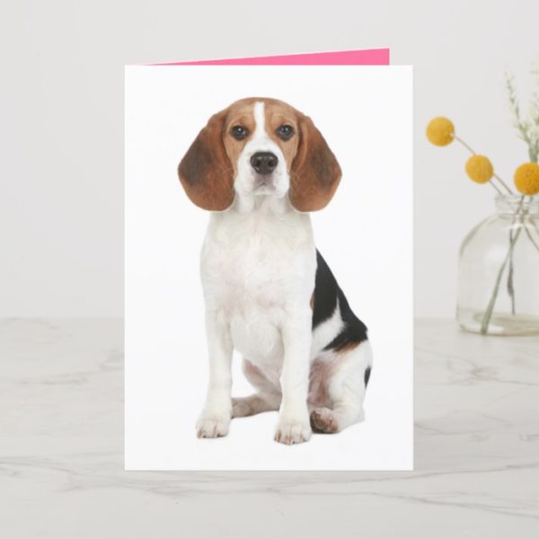 Beagle Puppy Dog Hello Thinkng of You Card