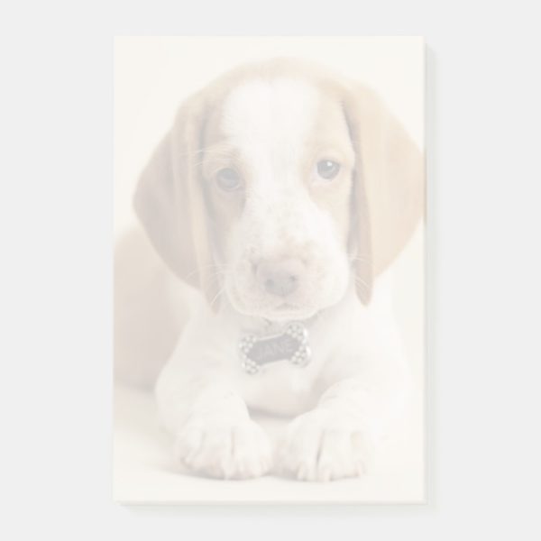 Beagle Puppy Post-it Notes