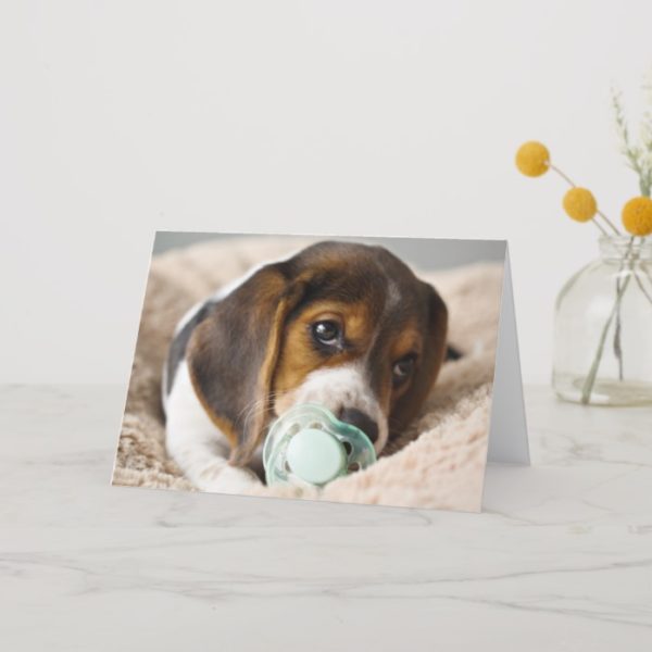 Beagle puppy sucking on soother. card