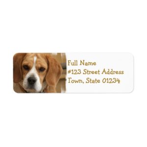 Beagle Return Address Label
