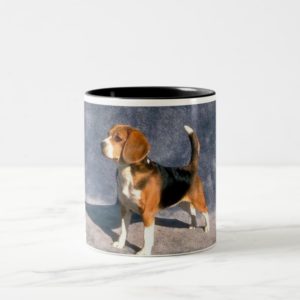 beagle Two-Tone coffee mug