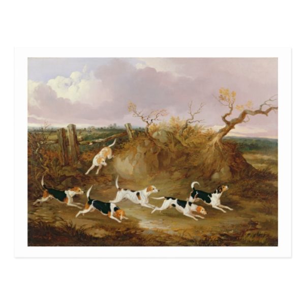 Beagles in Full Cry, 1845 (oil on canvas) Postcard