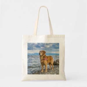 Beautiful Golden Retriever / Dog on Beach Photo Tote Bag