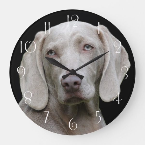 Beautiful Weimaraner Hunting Dog Large Clock