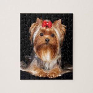 Beautiful Yorkshire Terrier Jigsaw Puzzle