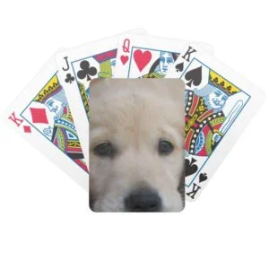 Bicycle Card Template - Customized