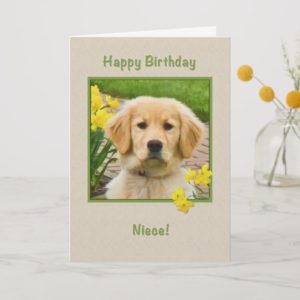 Birthday, Niece, Golden Retriever Dog, Daffodils Card