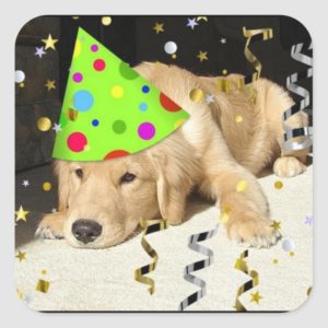 Birthday Party Animal Golden Retriever Square Sticker