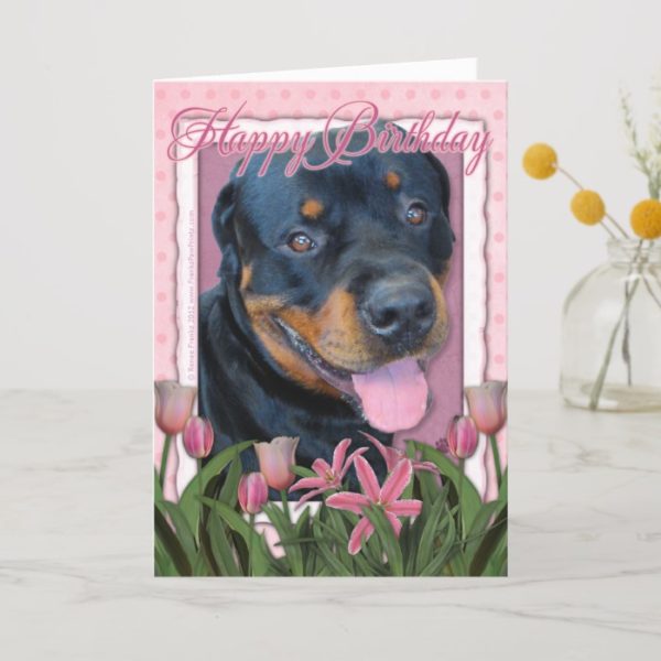 Birthday - Pink Tulips - Rottweiler - Harley Card