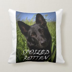black german shepherd spoiled rotten throw pillow
